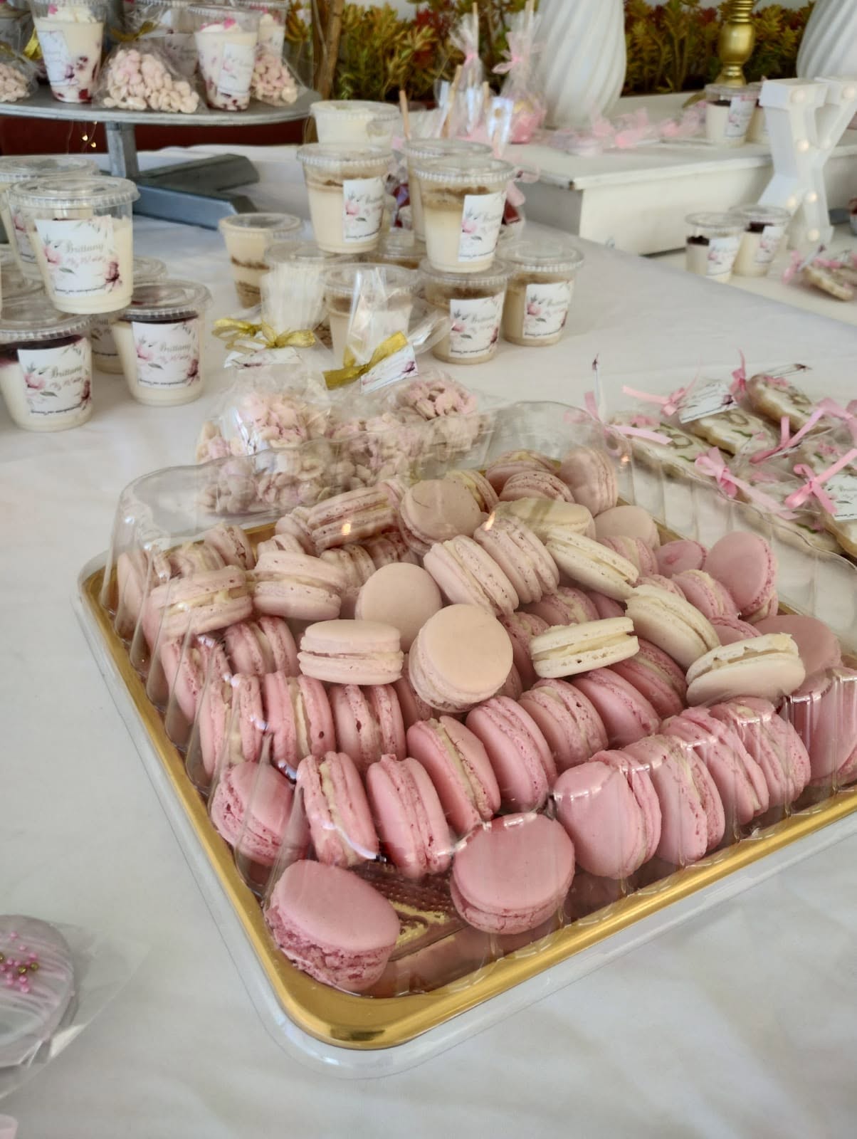 Candy Bar & Mesa de Postres Gourmet